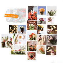 Load image into Gallery viewer, 40 pcs A video gallery series Journal Decorative Stickers Scrapbooking Stick Label Diary Stationery Album flower Film Stickers
