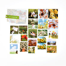 Load image into Gallery viewer, 40 pcs A video gallery series Journal Decorative Stickers Scrapbooking Stick Label Diary Stationery Album flower Film Stickers
